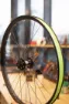 SCOTT Front wheel Ransom F-Pro 24¨ 15x100mm