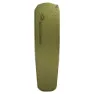 Olive 1