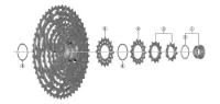 Shimano CS-M9100/8100/7100 10T/12T Kassettdrev
