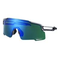 Shimano Equinox 5 Gr Solbriller