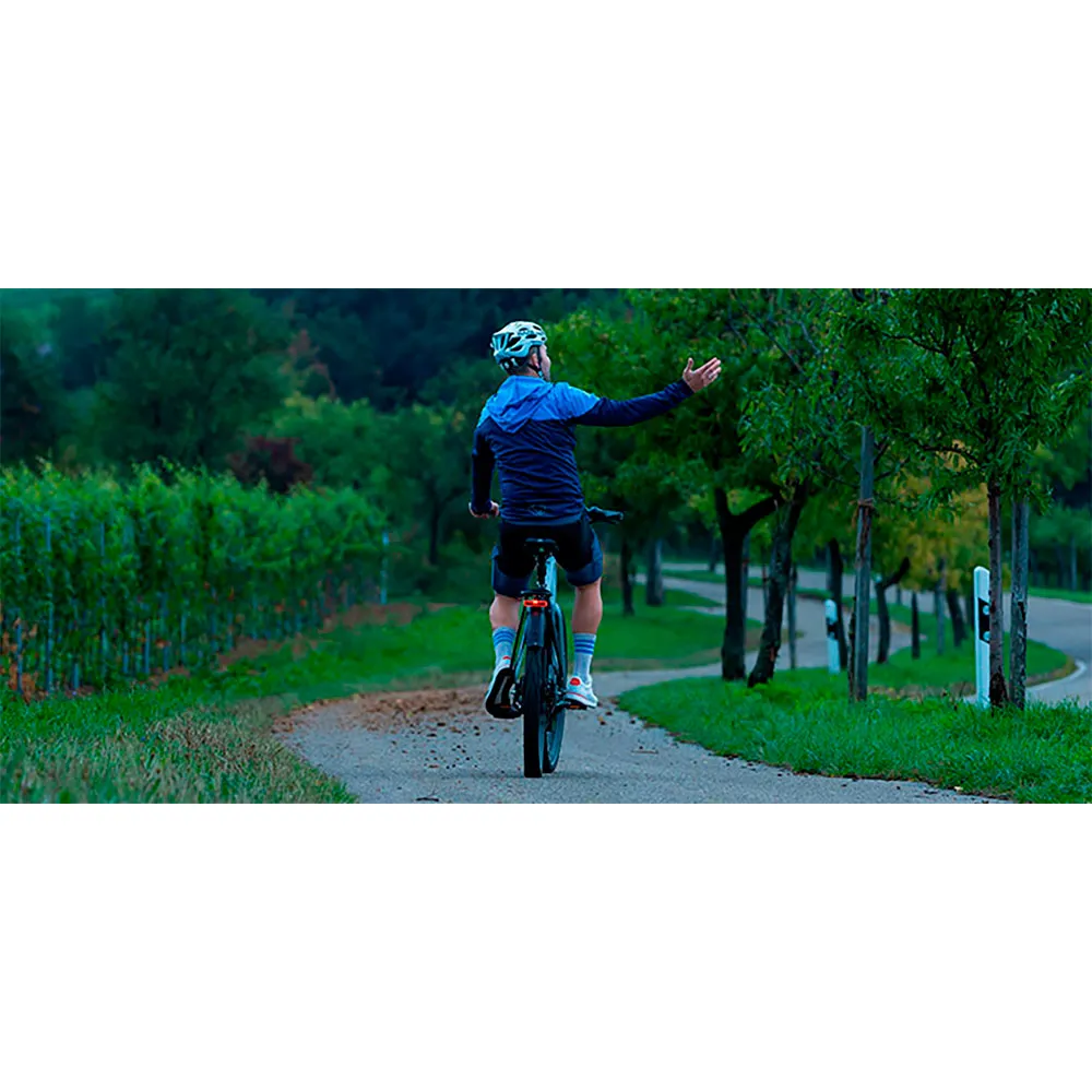 SIGMA SPORT EOX RL Rack ebike Bremselys, Black, One Size