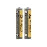 SIGMA SPORT Sigma AAA Batterier, 2 stk