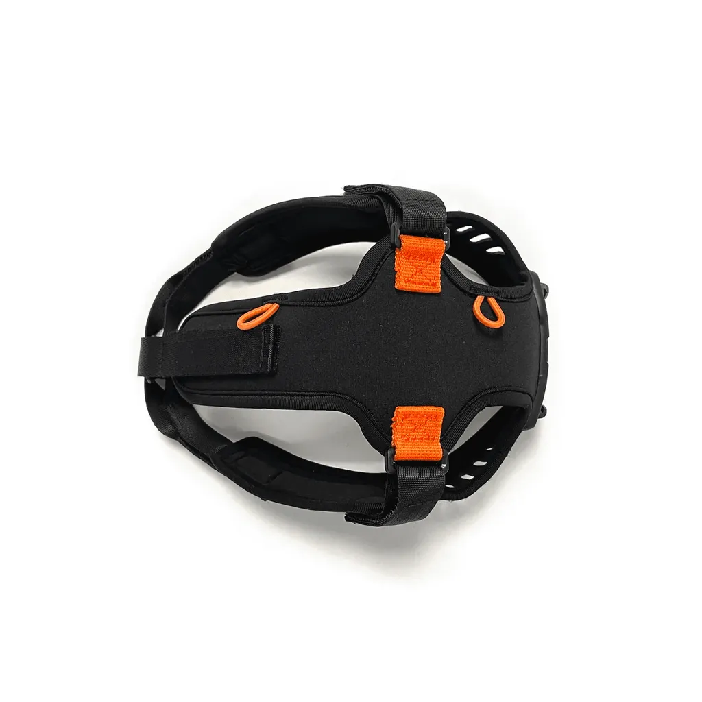 Silva Ignite Hodelykt, Graycolor