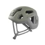 Olivine gray