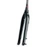 Skuad Full Carbon 15x100 Mm Mtb-gaffel, Black / black, 29", Rigid