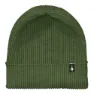 Fern green