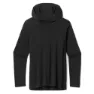 SmartWool Merino Sport 120 Hoodie Langarmet T-skjorte