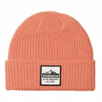 SmartWool Patch Lue