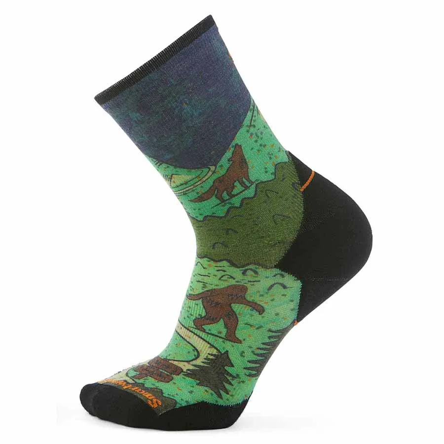 SmartWool Trail Run Targeted Cushion Neature Print Crew Sokker male