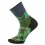 SmartWool Trail Run Targeted Cushion Neature Print Crew Sokker male