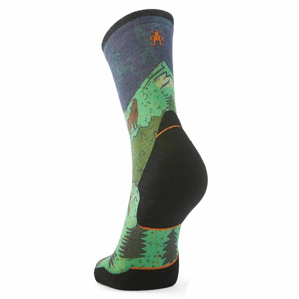 SmartWool Trail Run Targeted Cushion Neature Print Crew Sokker male