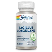 Solaray Bacillus Coagulans Enzymes And Digestive Aids Kapsler 60 Enheter Solaray Bacillus Coagulans Enzymes And Digestive Aids Kapsler 60 Enheter