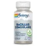 Solaray Bacillus Coagulans Enzymes And Digestive Aids Kapsler 60 Enheter, One size