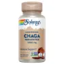 Solaray Chaga Fermented 1000mg Immunity Kapsler 60 Enheter, One size