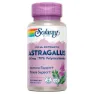 Solaray Ekstrakt Av Astragalusrot 200 Mg 30 Enheter, Lila, One Size