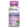 Solaray Hestehov 50 Mg 60 Enheter, Lila, One Size
