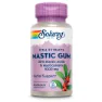 Solaray Mastic Gum 500mg Kapsler 45 Enheter, Pink, One Size