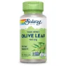 Solaray Olive Leaf 410mg Kapsler 100 Enheter, Multicolour, One Size