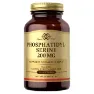 Solgar Phosphatidyl-serine 200mg Kapsler 60 Enheter, Brown, One Size