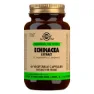 Solgar Sfp-root & Leaf Extract Echinacea Kapsler 60 Enheter, Brown, One Size