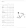 Specialized Allez Sprint 2024 Landeveissykkelramme, Fog tint / aluminum / black pearl, 54