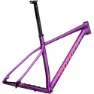 Specialized Chisel Hardtail 2025 Mtb-ramme