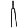 Specialized My20 Roubaix Ta Carbon 12x100 Mm Disc 44 Mm Offset 140 Mm St 54 Cm Veikgaffel, Gloss black, 28" - 700C, Rigid