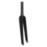 Specialized My24 Future Shock Ta Carbon 12x100 Mm Disc 47 Mm Offset 183 Mm St 58 Cm Veikgaffel, Gloss black, 28" - 700C, Rigid
