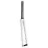 Specialized S-works Aethos 47 Mm Offset 2023 Veikgaffel 49-52 Cm, Birch / abalone / dune white, 28" - 700C, Rigid