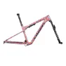 Specialized S-works Epic Wc 2023 Mtb-ramme