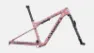 Specialized S-works Epic Wc 2023 Mtb-ramme