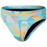 Speedo 6.5cm Digital Allover Badetrusser male
