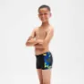 Speedo Allover Panel Badeshorts Boxer male