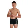 Speedo Boom Logo Placement Badeshorts Boxer male