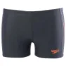 Speedo Colour Blend Placement Panel Aquashort Badeshorts Boxer male, Oxid grey / deep peri / siren