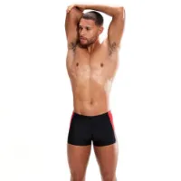 Speedo Dive Badeshorts Boxer male