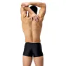 Speedo Dive Badeshorts Boxer male