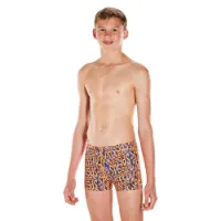 Speedo Electric Spritz Allover Badeshorts Boxer male Speedo Electric Spritz Allover Badeshorts Boxer male