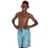 Speedo Forestfield Printed Leisure 17´´ Badebukse, Stellar / turquoise, 8-9Y