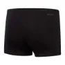 Speedo Hyper Boom Placement Badeshorts Boxer male