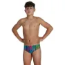 Speedo Hyperchromatic Allover 6.5 Cm Badetrusser male