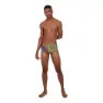 Speedo Jungleglare Allover 16 Cm Badeshorts Boxer male