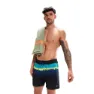 Speedo Placement Leisure 16´´ Badebukse male