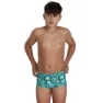 Speedo Pond Life 13 Cm Club Training Allover Badetrusser male