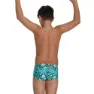 Speedo Pond Life 13 Cm Club Training Allover Badetrusser male