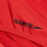 Speedo Solid Scoop Bikini Bunn female