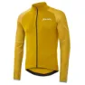 Ocher