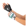Sportful Bora Hansgrohe Race Team 2021 Korte Hansker, Gray