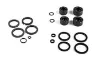 SRAM Guide Kaliper Stempelsett