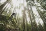 SRAM GX Eagle AXS Oppgraderingskit, Black, One Size